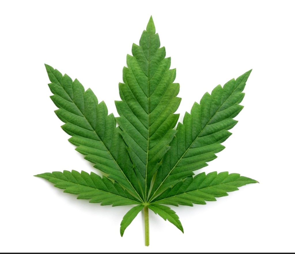 The Most High Priest?